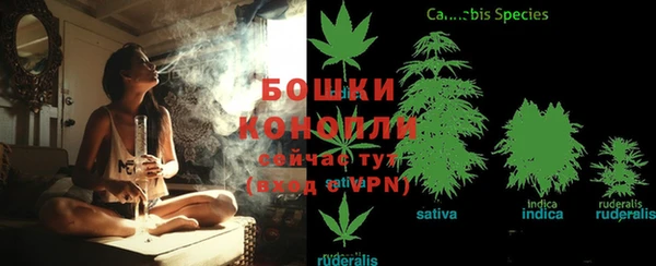 ГАЛЛЮЦИНОГЕННЫЕ ГРИБЫ Алексеевка