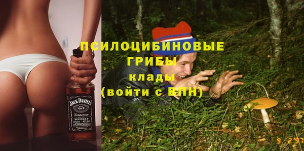 a pvp Алексин