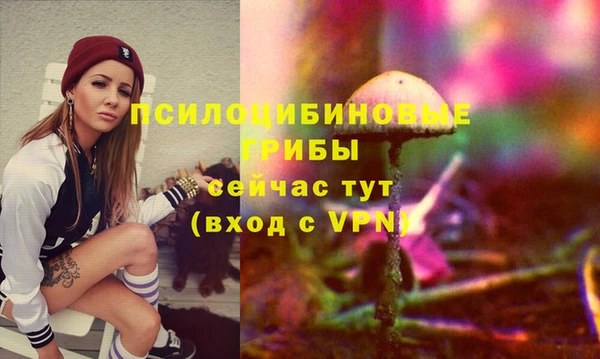ГАЛЛЮЦИНОГЕННЫЕ ГРИБЫ Алексеевка