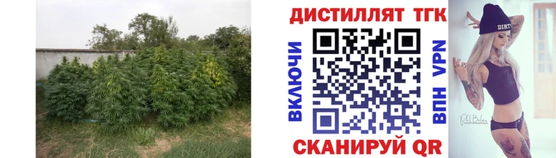 ТГК вейп с тгк  где купить   Калтан 