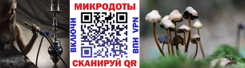 kraken tor Калтан Галлюциногенные грибы Psilocybine cubensis